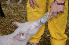 Christine LE GUYADEC - Christine LE GUYADEC